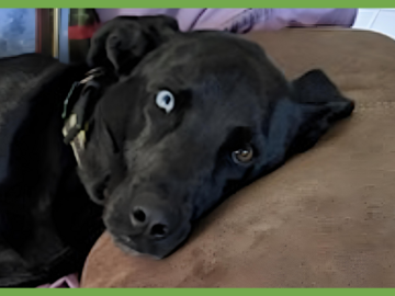  : Spike