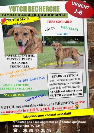 YUTCH, de la RÉUNION, arrive en métropole le 9 JUIN. I