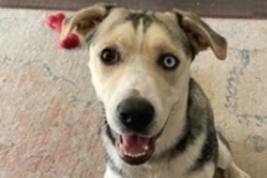   : Lola