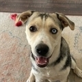   : Lola
