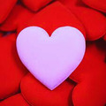 Selling: Love Reading