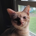   : Buddy