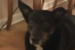   : Delilah