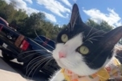   : Dixie