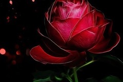 Selling: Rosier Love Spell