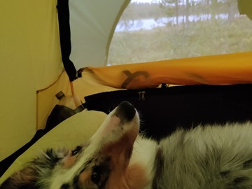 Renting out (by week): Hilleberg Nallo 2 GT teltta