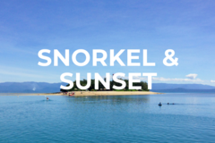 Direct Booking: LOW ISLES SNORKELLING