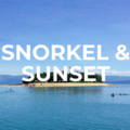 Direct Booking: LOW ISLES SNORKELLING