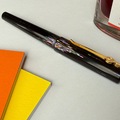 Renting out: Conco Pens Aurora (M)