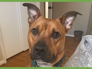  : Milo