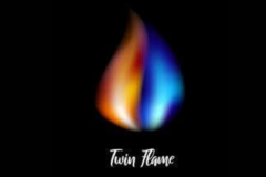 Selling: Twin Flame Reading