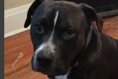   : Khaos