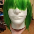 Selling with online payment: Green Wig