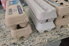 Selling with online payment: Fresh Yard Eggs (The Woodlands, TX)