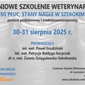 Kurs: FAST, USG PŁUC, STANY NAGŁE W SZEROKIM UJĘCIU