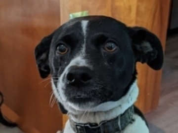   : Molly
