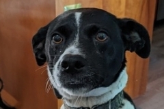   : Molly
