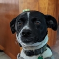   : Molly