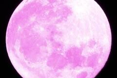 Selling: Full moon -Relationship healing session ✨️ 1 slot left 