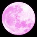 Selling: Full moon -Relationship healing session ✨️ 1 slot left 