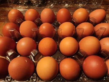 Selling with In-person Payment: Fresh eggs