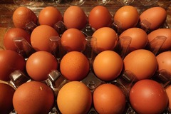 Selling with In-person Payment: Fresh eggs