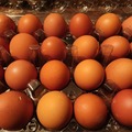 Selling with In-person Payment: Fresh eggs