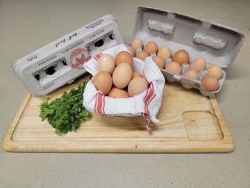 Selling with online payment: Pasture raised Eggs Large & XL (Wisconsin)