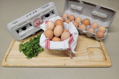 Selling with online payment: Pasture raised Eggs Large & XL (Wisconsin)