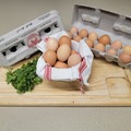 Selling with online payment: Pasture raised Eggs Large & XL (Wisconsin)
