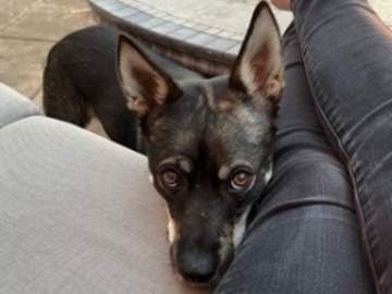   : Kiki