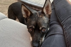   : Kiki