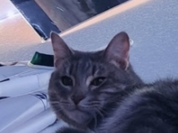   : Leo