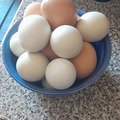 Selling with online payment: Fresh Large Chicken Eggs Brown and Blue