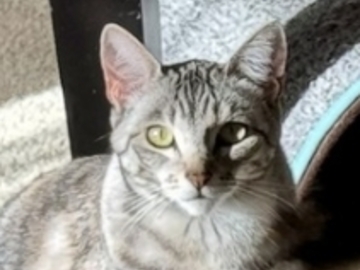   : Thumbalina