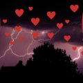 Selling: Passion & Calm After The Storm (Part 1 Free Reading Inside)