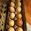 Selling with In-person Payment: Fresh Chicken eggs