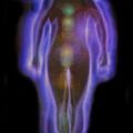 Selling: PSYCHIC X RAY- COMPLETE LOVE AND RELATIONSHIP DIAGNOSIS 