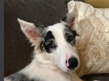   : Gwen