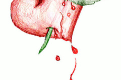 Selling: Will you reconcile for good?