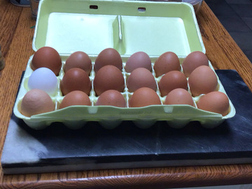 Selling with In-person Payment: Grandma’s fresh eggs