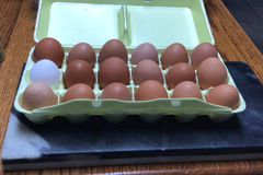Selling with In-person Payment: Grandma’s fresh eggs