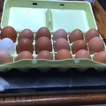 Selling with In-person Payment: Grandma’s fresh eggs