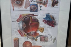 Selling with online payment: 2x Framed Eye Posters