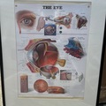 Selling with online payment: 2x Framed Eye Posters
