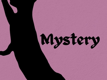Bulk Lots: Mystery Earrings Box