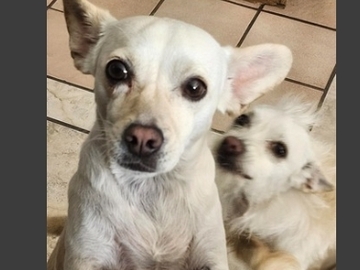   : Remi & Reiko