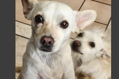   : Remi & Reiko