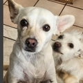   : Remi & Reiko