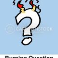 Selling: BURNING QUESTIONS- ANSWERS IN 2 HOURS OR LESS 
